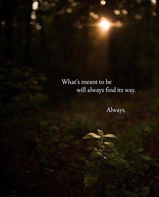 What's Meant To Be Funny Nature Quotes
