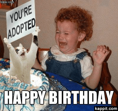 You're Adopted Happy Birthday Happy Birthday Boss Meme