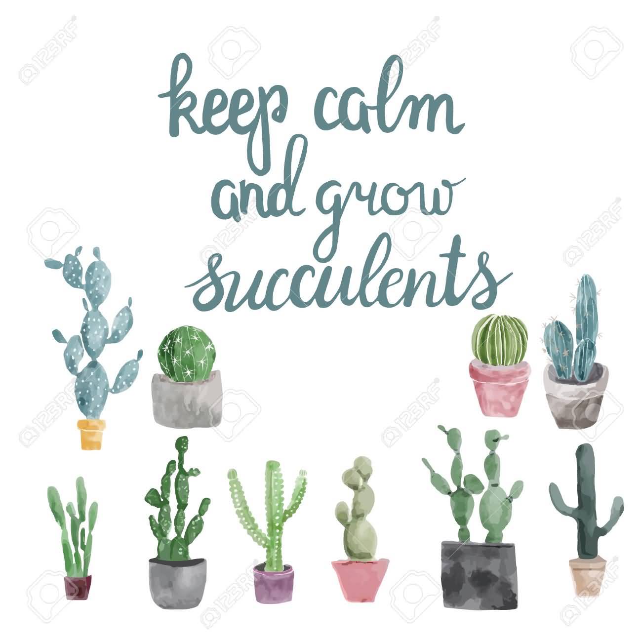 Keep Calm And Grow Succulent Quotes