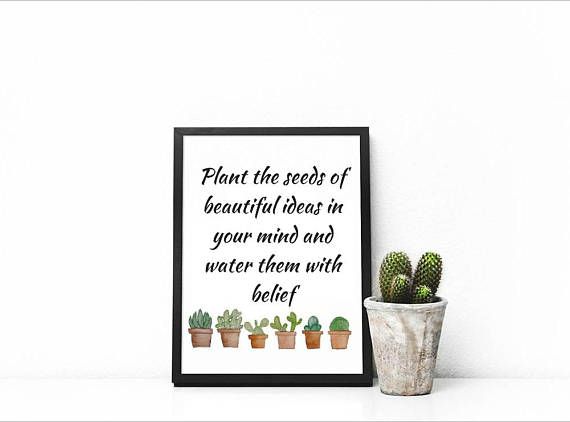Plant The Seeds Of Beautiful Succulent Quotes