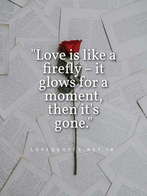 Love Is Like A Firefly Fake Love Quotes