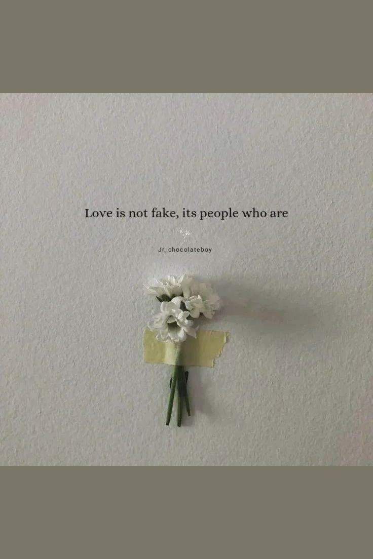 Love Is Not Fake Fake Love Quotes