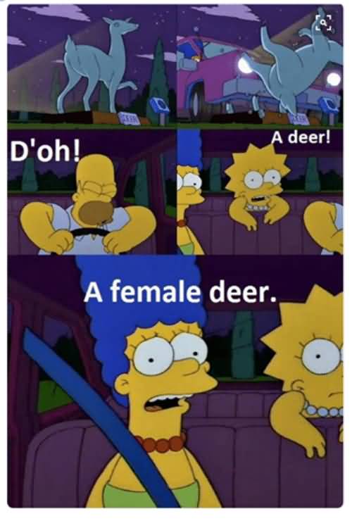 Doh A Deer A Female Cartoon Memes Facebook