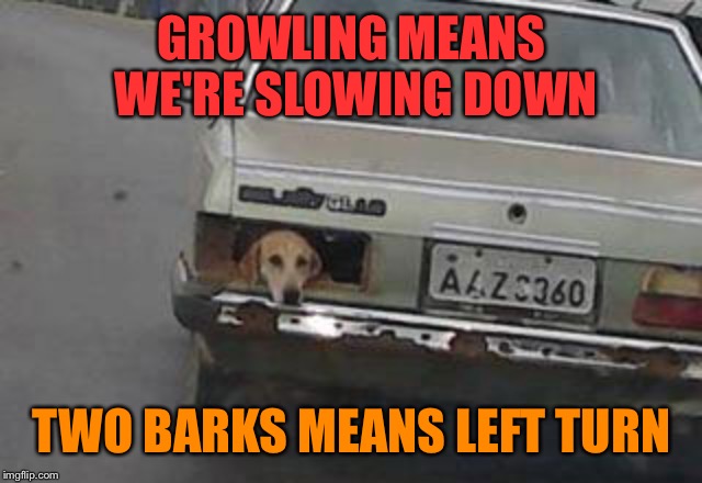 Growling Means Were Slowing Car Meme