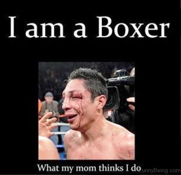 I Am A Boxer Boxing Meme