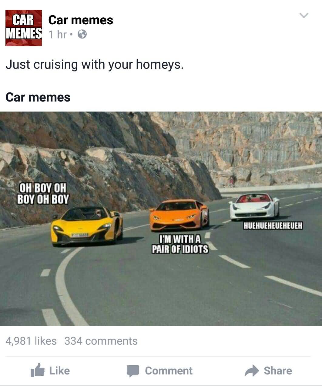 Just Cruising With Your Car Memes Car Throttle