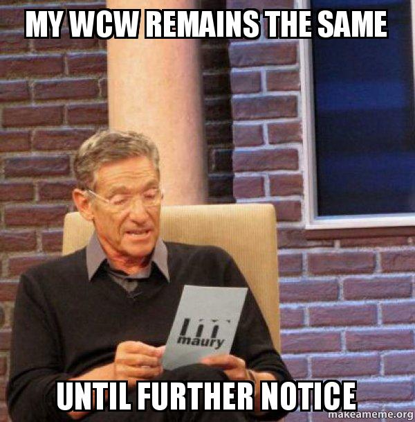 My Wcw Remains The Same Wcw Meme