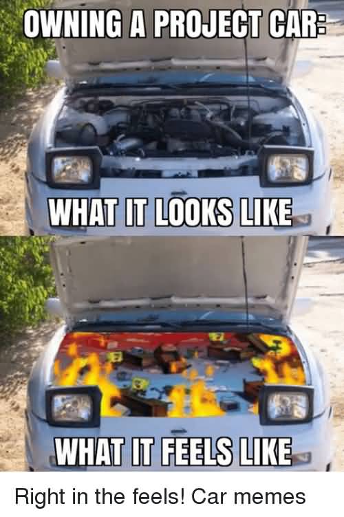 Owning A Project Car Car Meme