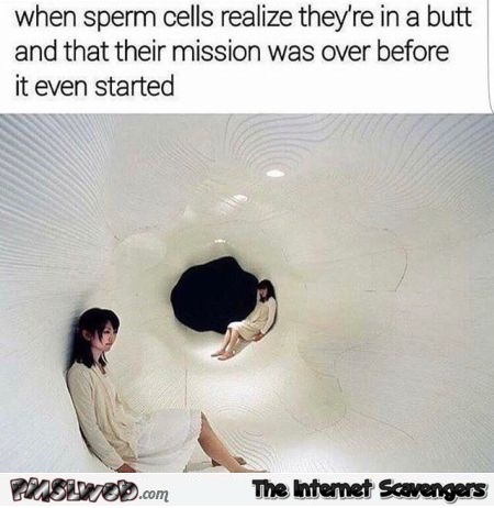 When Sperm Cells Realize Butt Meme