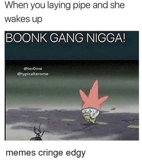 When You Laying Pipe Boonk Gang Meme