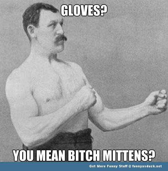 You Mean Bitch Mittens Boxing Meme