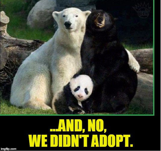 And No We Didnt Adopt Black Bear Meme