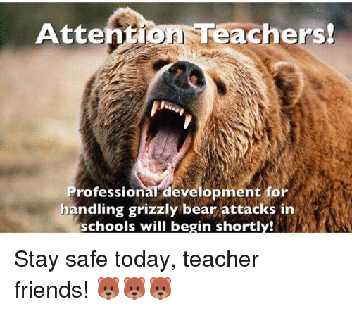 Attention Teachers Professional Development Grizzly Bear Meme