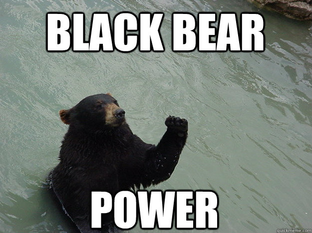 Black Bear Power Black Bear Meme