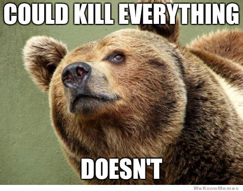 Could Kill Everything Doesnt Bear Meme