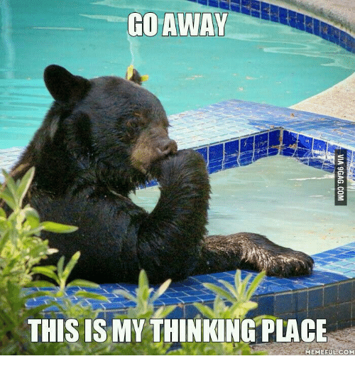 Go Away This Is My Black Bear Meme