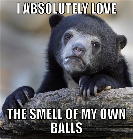 I Absolutely Love The Smell Bear Meme