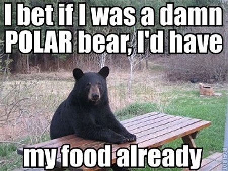 I Bet If I Was A Damn Black Bear Meme