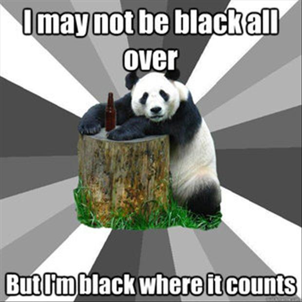 I May Not Be Black All Over Black Bear Meme