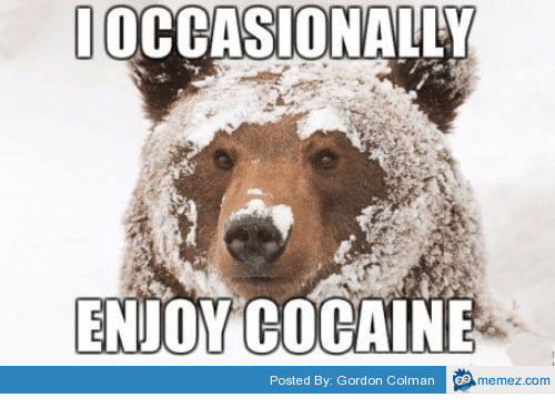 I Occasionally Enjoy Cocaine Bear Meme