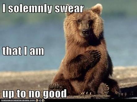 I Solemnly Swear That I Am Bear Meme