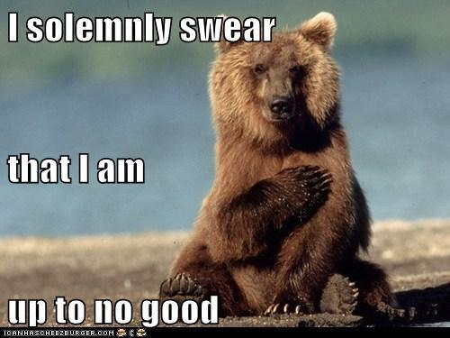 I Solemnly Swear That I Am Grizzly Bear Meme