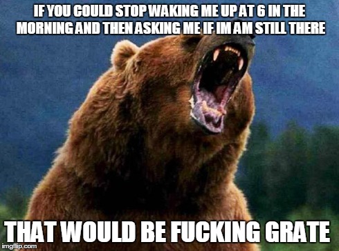 If You Could Stop Waking Bear Meme