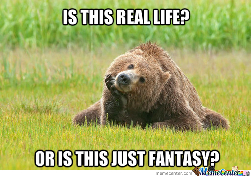 Is This Real Life Bear Meme