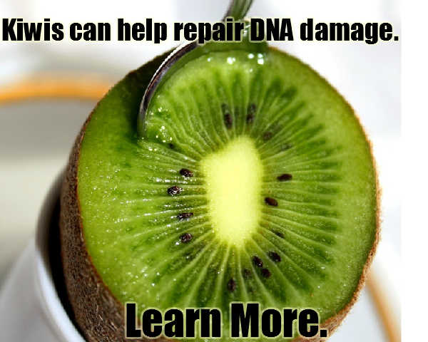 Kiwis Can Help Repair DNA Kiwifruit Meme