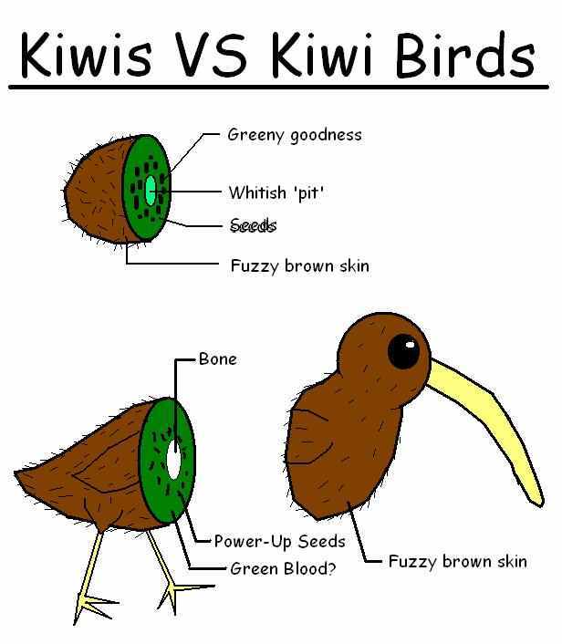 Kiwis Vs Kiwi Birds Kiwifruit Meme