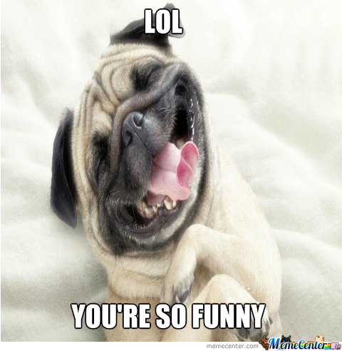 Lol Youre So Funny Dog Laughing Meme