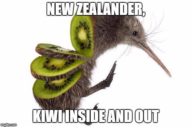 New Zealander Kiwi Inside Kiwifruit Meme