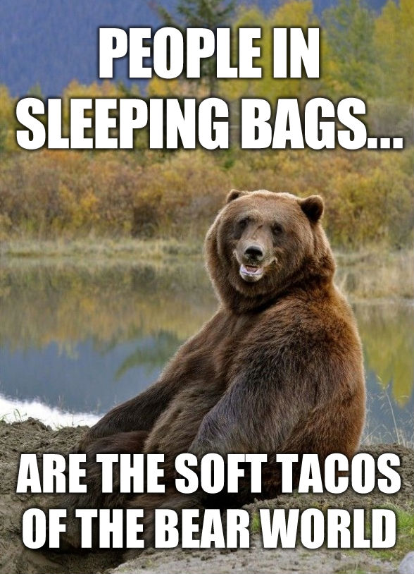 People In Sleeping Bags Are Grizzly Bear Meme