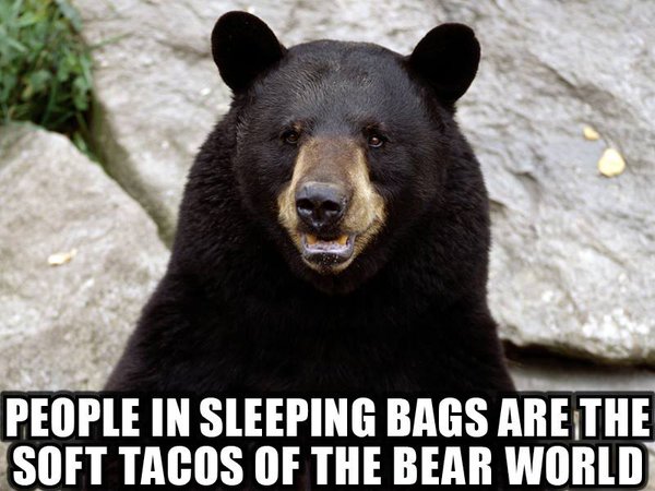 People In Sleeping Bags Black Bear Meme