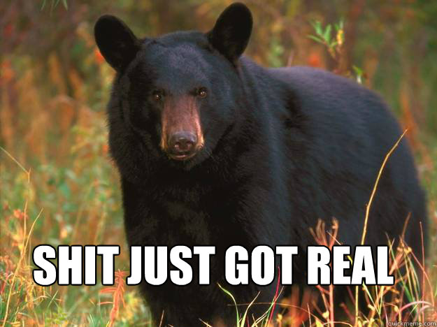 Shit Just Got Real Black Bear Meme