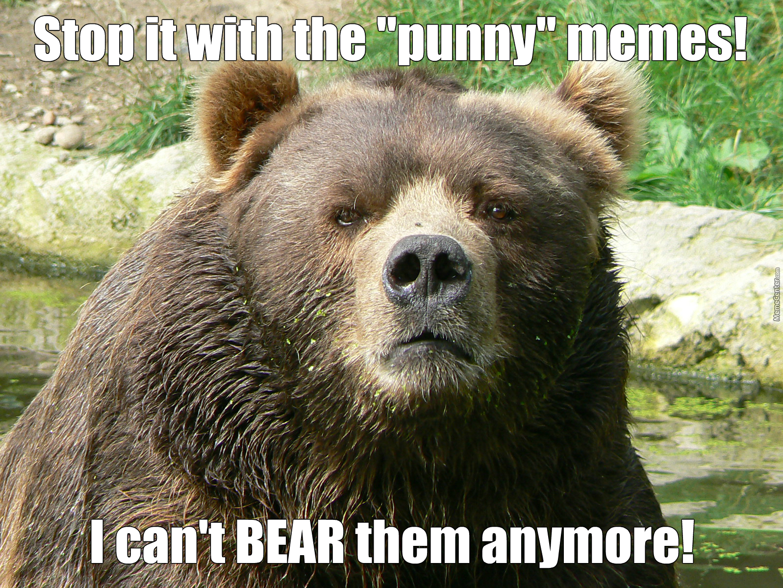 Stop It With The Punny Grizzly Bear Meme