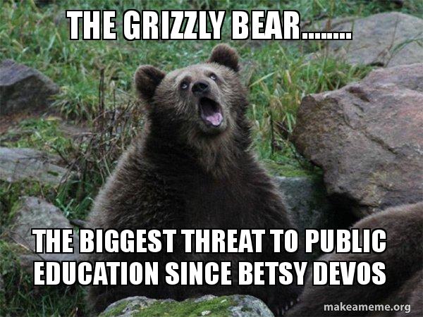 The Grizzly Bear The Biggest Grizzly Bear Meme