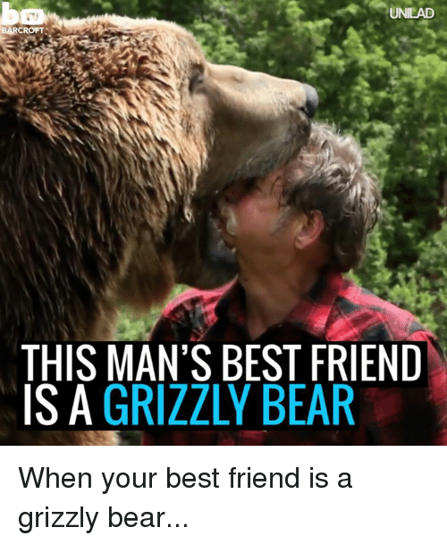 This Mans Best Friend Is A Grizzly Bear Meme