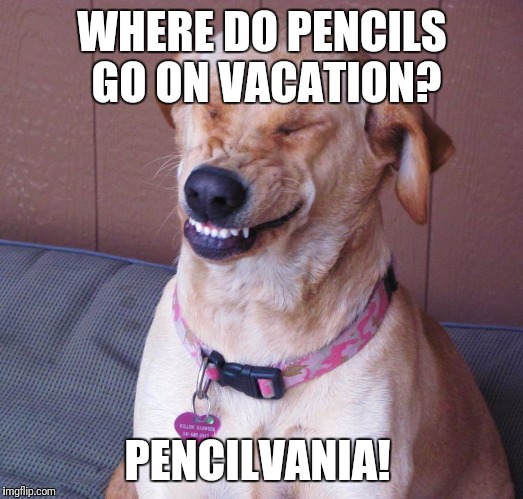 Where Do Pencils Dog Laughing Meme