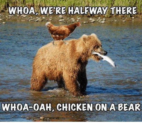 Whoa Were Halfway There Bear Meme