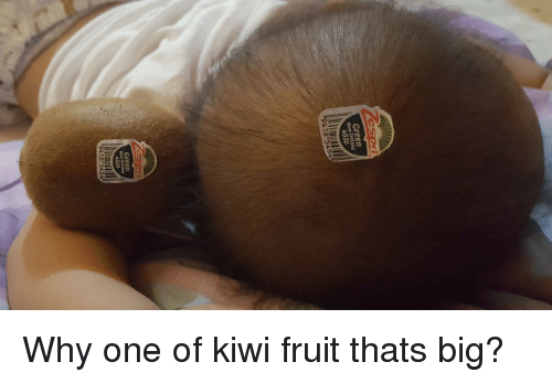 Why One Of Kiwi Kiwifruit Meme