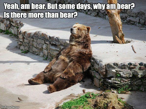 Yeah An Bear But Bear Meme