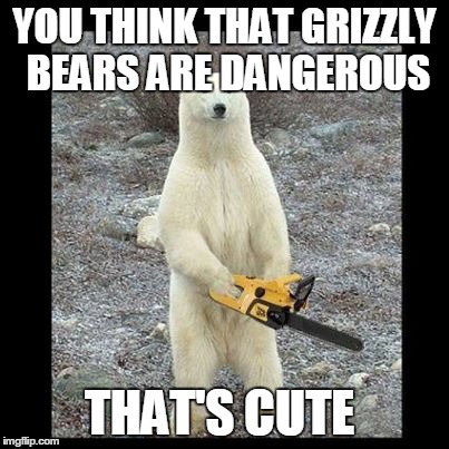 You Think That Grizzly Bears Grizzly Bear Meme