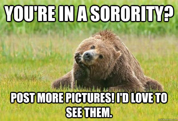 Youre In A Sorority Grizzly Bear Meme