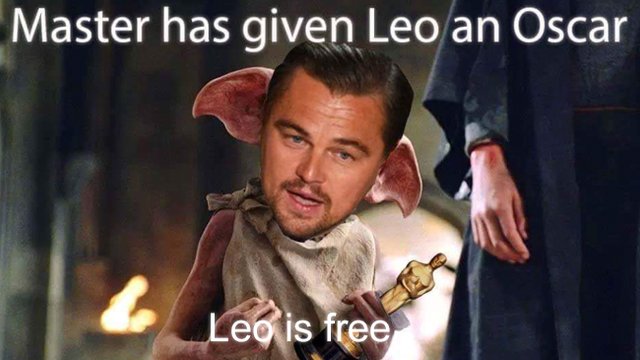 Master Has Given Leo An Oscar Leo Meme